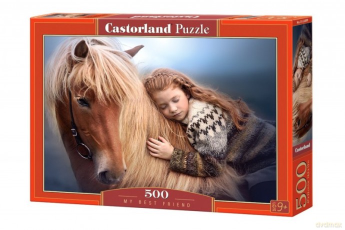 CASTOR 500 el. Najlepszy przyjaciel [PUZZLE]
