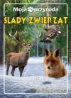 Moja przyroda. Ślady zwierząt - Anna Paszkiewicz [KSIĄŻKA]