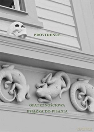 Providence. Opatrznościowa książka do pisania [KSIĄŻKA]