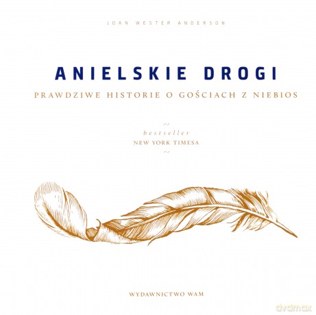 Anielskie drogi. Prawdziwe historie o gościach - Joan Wester Anderson [KSIĄŻKA]