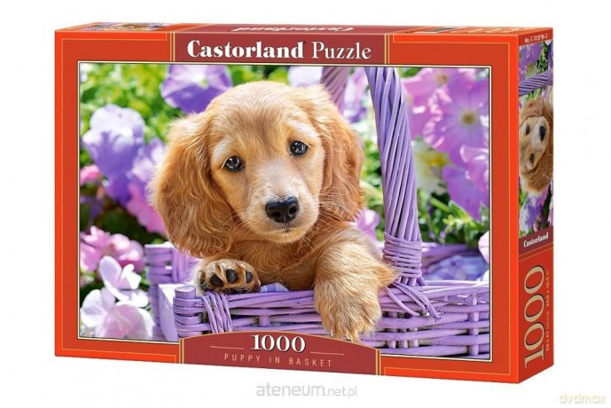 CASTOR 1000 el. Szczeniak w koszyku [PUZZLE]