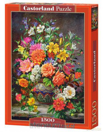 CASTOR 1500 el. September Flowers [PUZZLE]