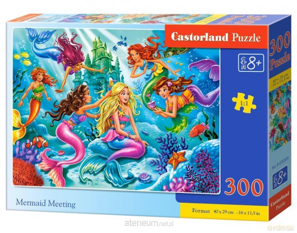 CASTOR 300 el. Spotkanie Syrenek [PUZZLE]