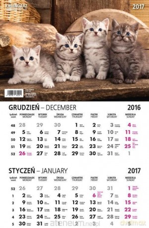Kalendarz 2018 Dwumiesięczny Lux [KALENDARZ]