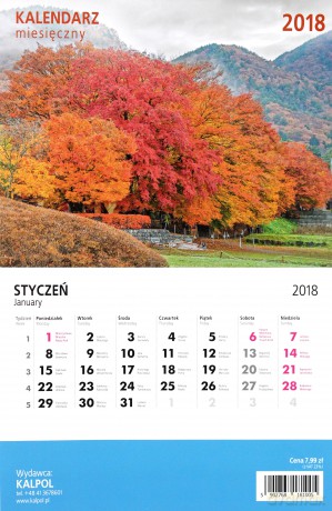 Kalendarz 2018 Miesięczny [KALENDARZ]