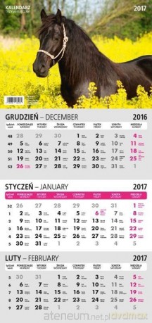 Kalendarz 2018 Trzymiesięczny [KALENDARZ]