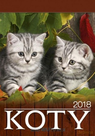 Kalendarz 2019 Wieloplanszowy Koty [KALENDARZ]