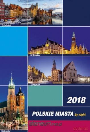Kalendarz 2019 Wieloplanszowy Polskie Miasta [KALENDARZ]