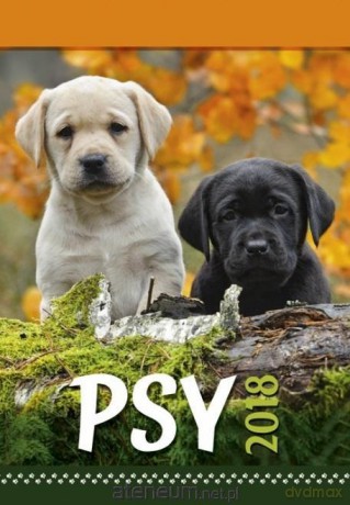 Kalendarz 2019 Wieloplanszowy Psy [KALENDARZ]