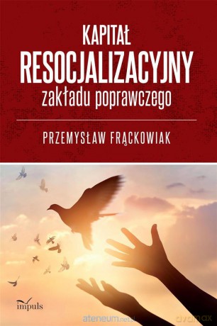 Kapitał resocjalizacyjny zakładu poprawczego - Przemysław Frąckowiak [KSIĄŻKA]