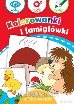 Kolorowanki i łamigłówki dla ciekawskich [KSIĄŻKA]