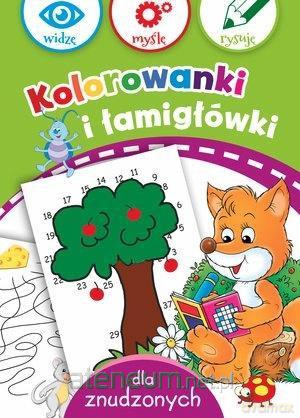 Kolorowanki i łamigłówki dla znudzonych [KSIĄŻKA]