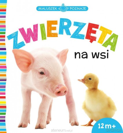 MALUSZEK POZNAJE Zwierzęta na wsi [KSIĄŻKA]