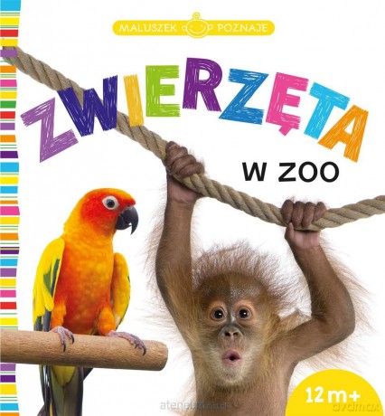Maluszek poznaje Zwierzęta w zoo [KSIĄŻKA]