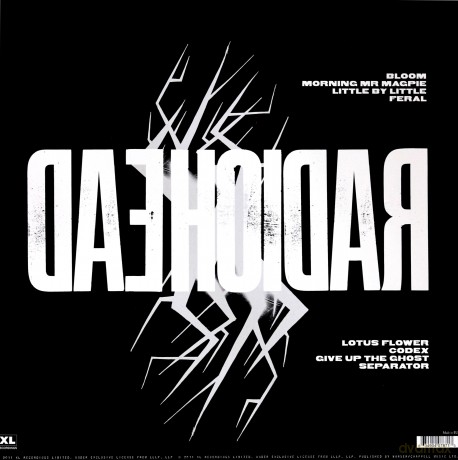 Radiohead: The King Of Limbs [Winyl]