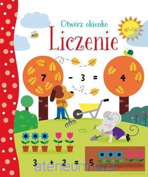 Otwórz okienko. Liczenie [KSIĄŻKA]