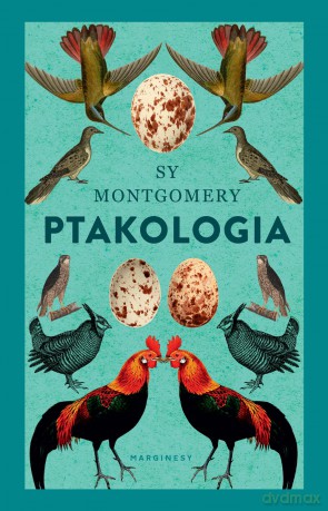 Eko ptakologia - Sy Montgomery [KSIĄŻKA]