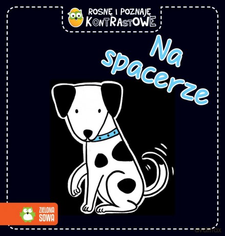 Na spacerze. Rosnę i poznaję. Kontrastowe [KSIĄŻKA]