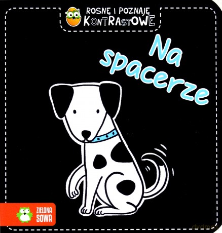 Na spacerze. Rosnę i poznaję. Kontrastowe [KSIĄŻKA]