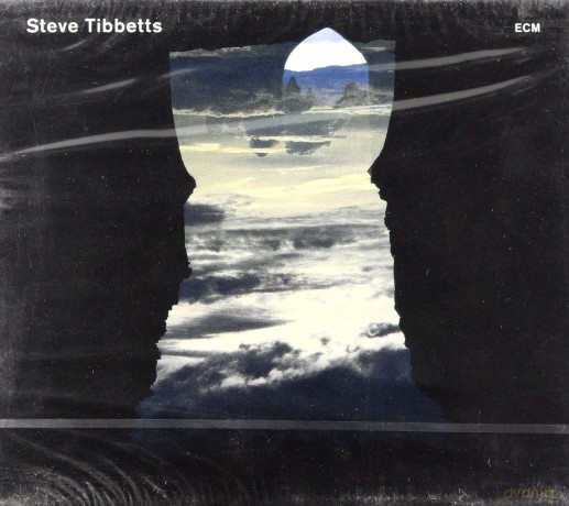 Steve Tibbets: Natural Causes [CD]