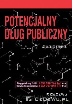 Potencjalny dług publiczny - Arkadiusz Kamiński [KSIĄŻKA]