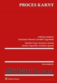 Proces karny [KSIĄŻKA]