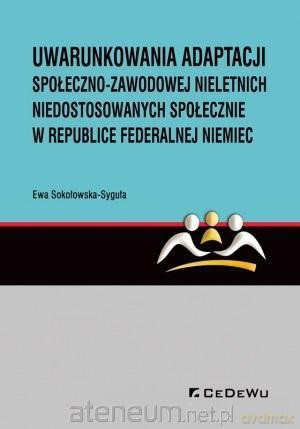 Uwarunkowania adaptacji społeczno-zawodowej [KSIĄŻKA]
