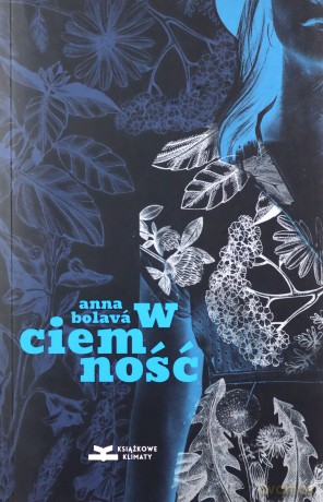 W ciemność - Anna Bolav [KSIĄŻKA]