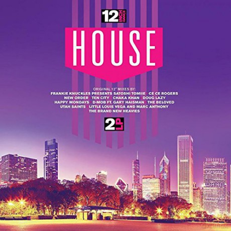 12 Inch Dance: House [Winyl]
