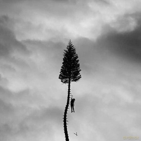 Manchester Orchestra: A Black Mile To The Surface [CD]