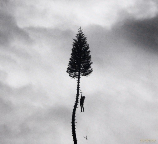 Manchester Orchestra: A Black Mile To The Surface [CD]
