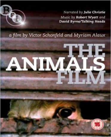 Animals Film [DVD]