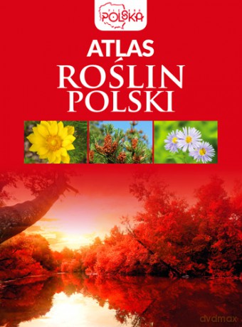 Atlas roślin Polski [KSIĄŻKA]