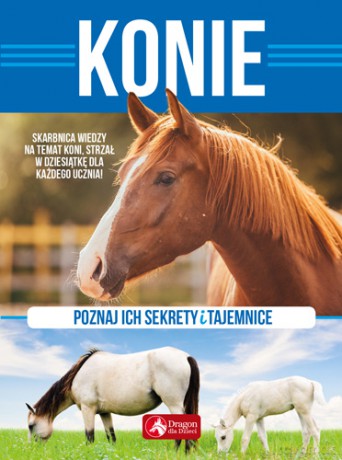 Konie. Poznaj ich sekrety i tajemnice - Anna Willman [KSIĄŻKA]
