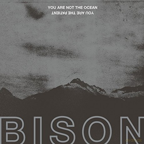 Bison: You Are Not The Ocean You Are The Patient (digipack) [CD]
