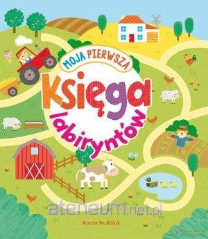 Moja pierwsza księga labiryntów [KSIĄŻKA]