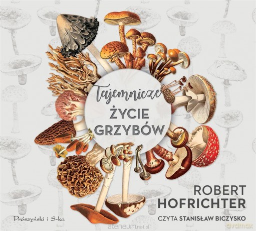 Tajemnicze życie grzybów - Robert Hofrichter [AUDIOBOOK]