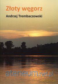 Złoty węgorz - Andrzej Trembaczowski [KSIĄŻKA]