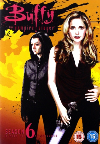 Buffy Season 6 (Buffy: Postrach wampirów Sezon 6) [DVD]