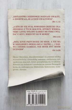Trudne miejsca w ewangelii. Skandaliczne słowa Jezusa - Gianfranco Ravasi [KSIĄŻKA]