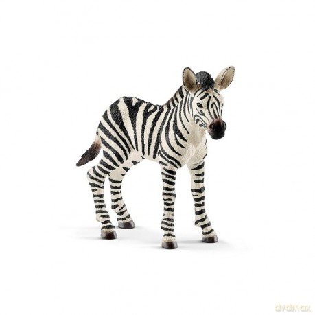 Zebra, źrebię [FIGURKA]