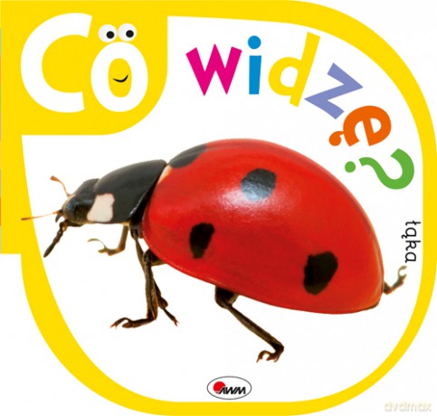 Co widzę. Łąka - Piotr Kozera [KSIĄŻKA]