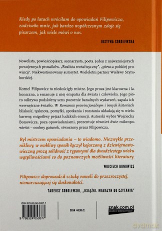 Romans prowincjonalny i inne historie - Filipowicz Kornel [KSIĄŻKA]