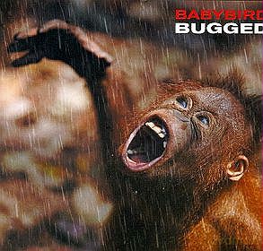 Babybird: Bugged [CD]