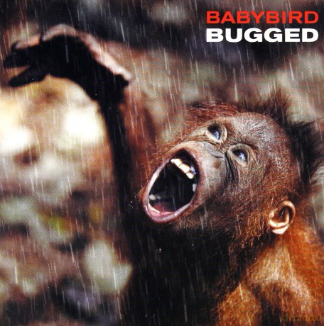 Babybird: Bugged [CD]