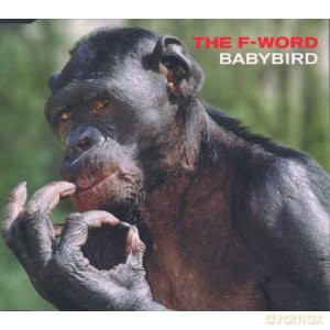 Babybird: The F-Word (single) [CD]