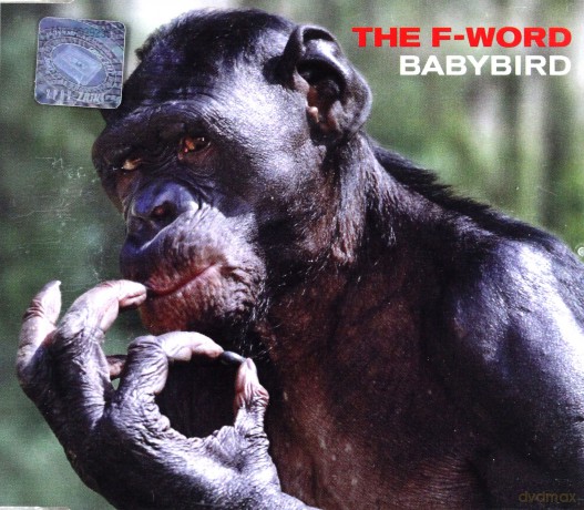 Babybird: The F-Word (single) [CD]