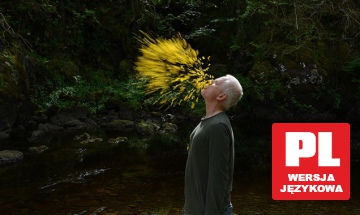 Leaning Into the Wind: Andy Goldsworthy [DVD]