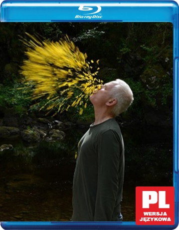 Leaning Into the Wind: Andy Goldsworthy [Blu-Ray]