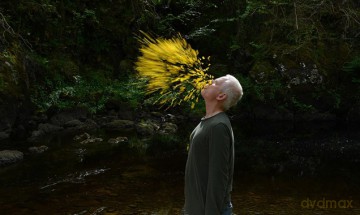 Leaning Into the Wind: Andy Goldsworthy soundtrack [CD]